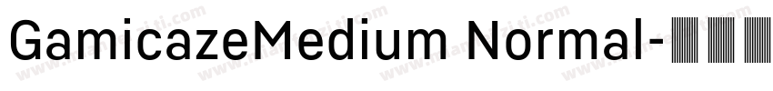 GamicazeMedium Normal字体转换
